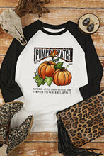 Load image into Gallery viewer, Fresh Pumpkin Graphic Contrast Long Sleeve Top
