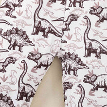 Load image into Gallery viewer, Kids Graphic Sweatshirt and Dinosaur Print Joggers Set
